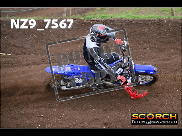 Experts-163