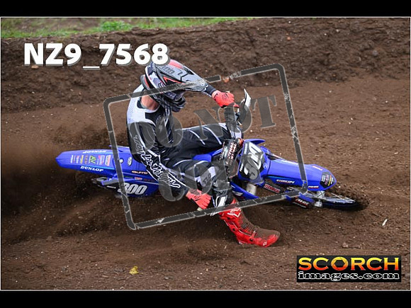 Experts-164