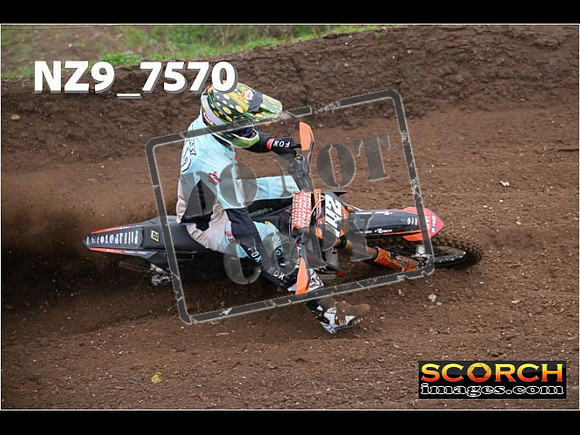 Experts-166