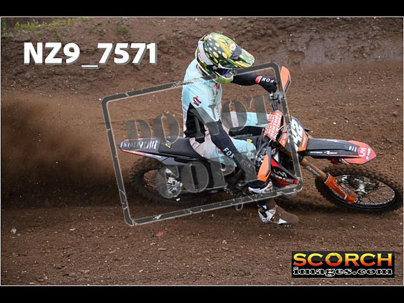 Experts-167