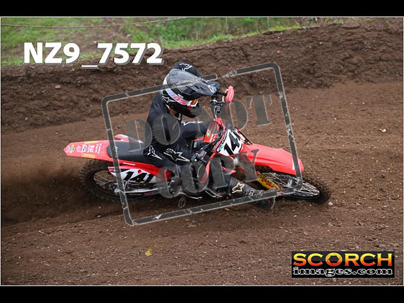 Experts-168