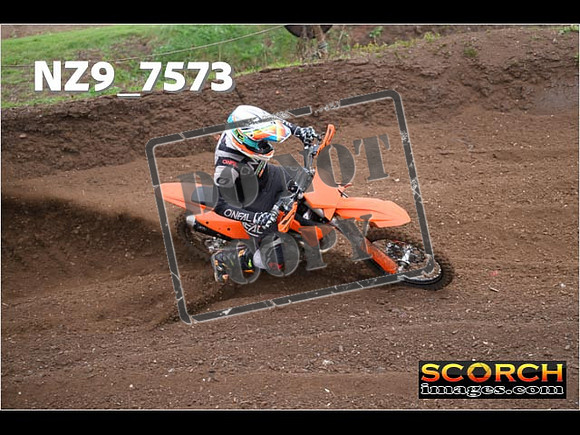 Experts-169