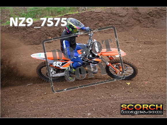 Experts-171