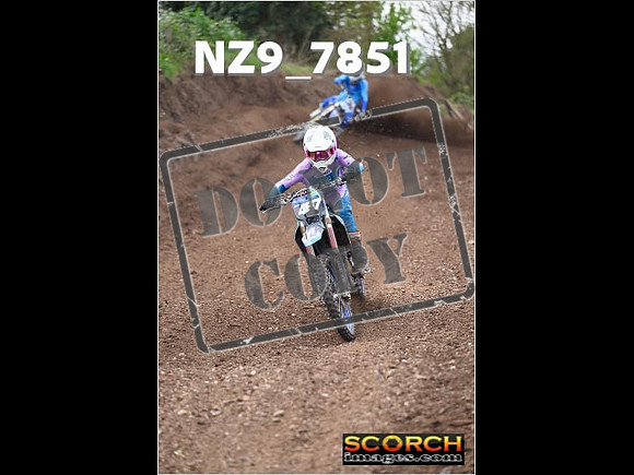 Experts-173