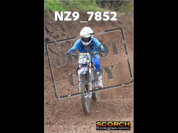 Experts-174