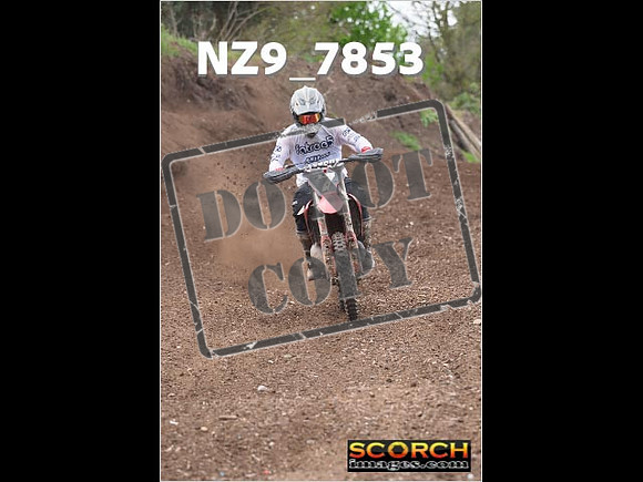Experts-175