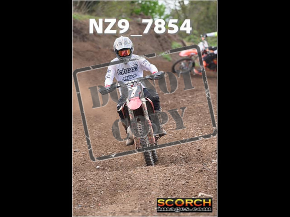 Experts-176