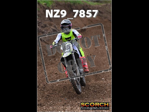 Experts-179