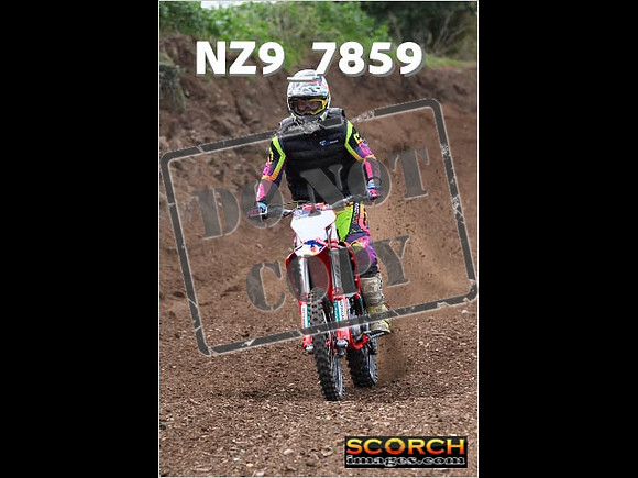 Experts-181