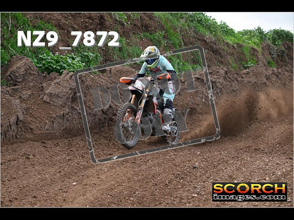 Experts-194