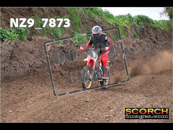 Experts-195