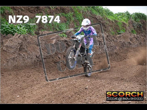 Experts-196