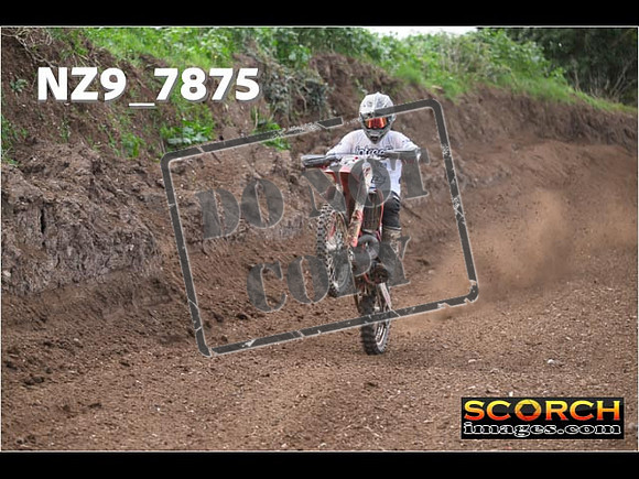 Experts-197