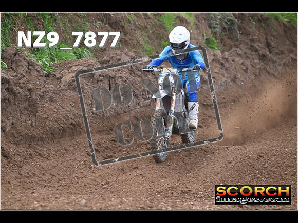 Experts-199