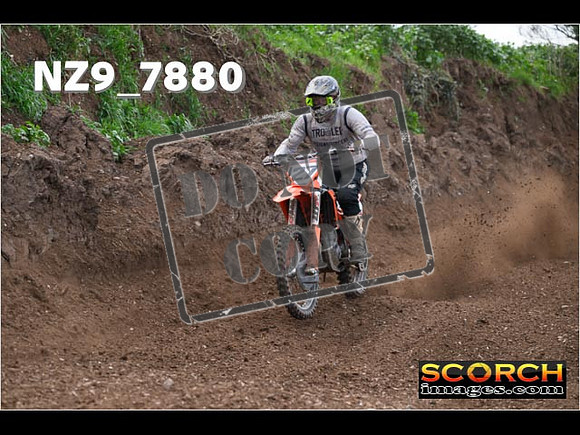 Experts-202