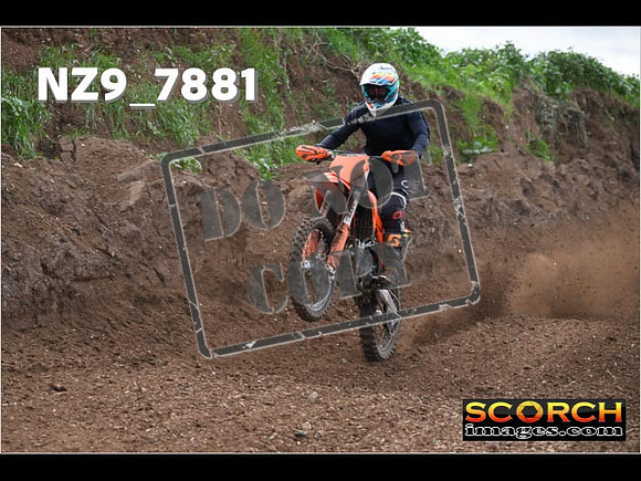 Experts-203