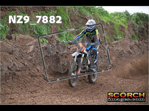 Experts-204