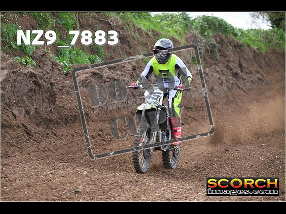 Experts-205