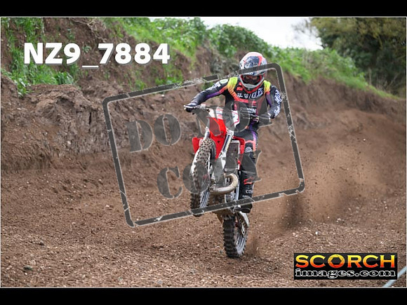 Experts-206
