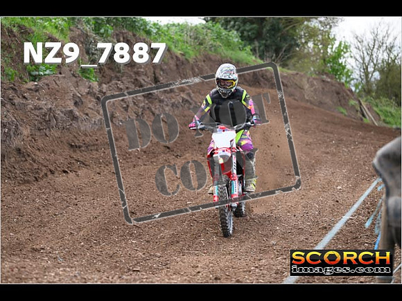 Experts-207