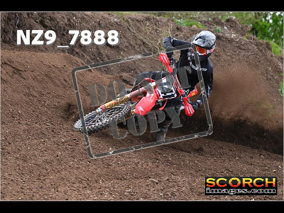 Experts-208