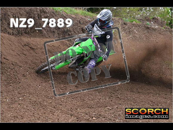 Experts-209