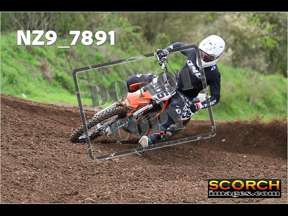 Experts-211