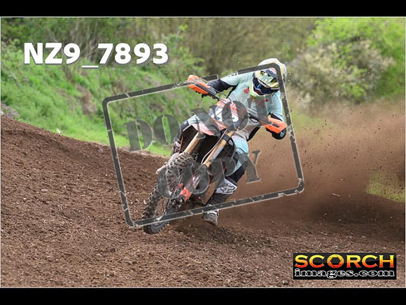 Experts-213