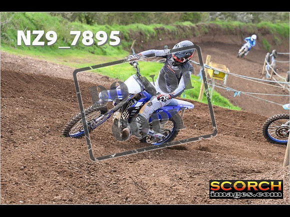 Experts-215