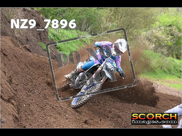 Experts-216
