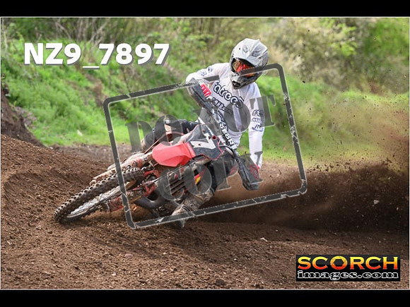 Experts-217