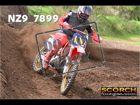 Experts-219