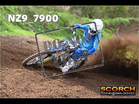 Experts-220