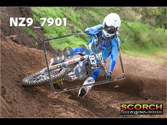 Experts-221
