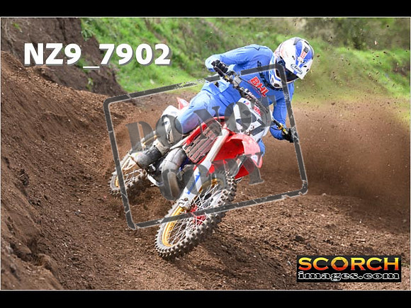 Experts-222