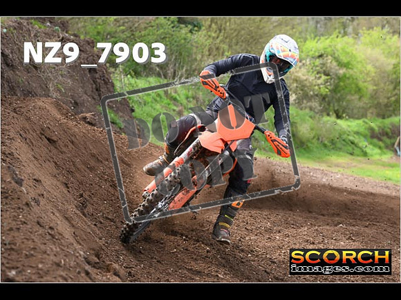 Experts-223