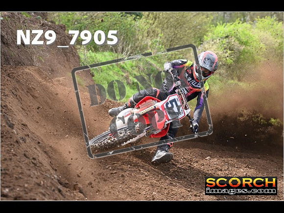 Experts-225