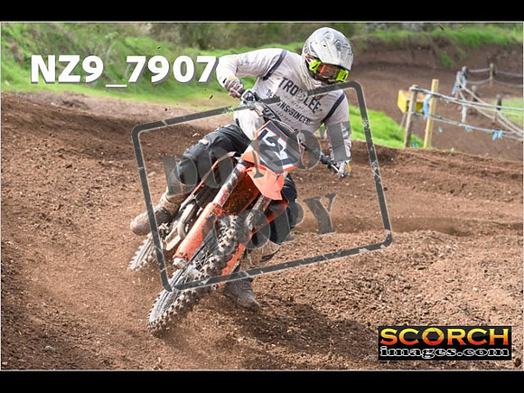 Experts-227