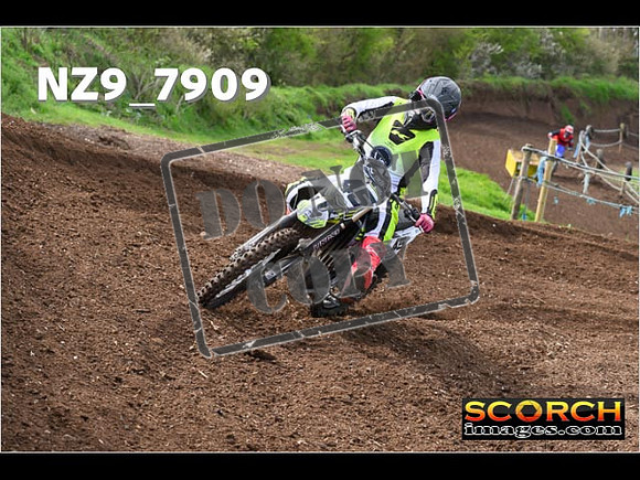 Experts-229