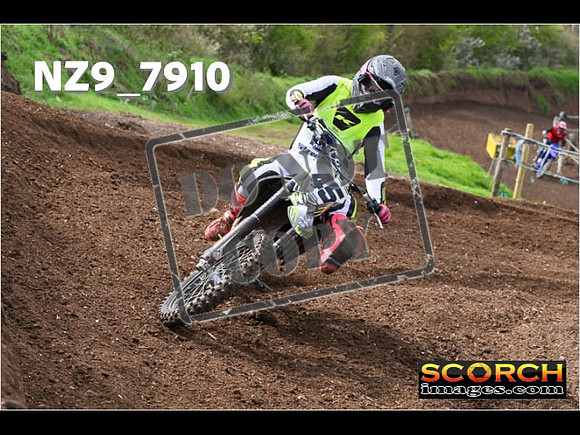 Experts-230