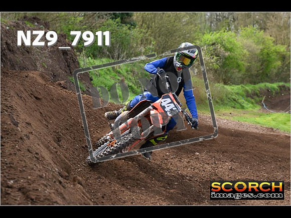 Experts-231