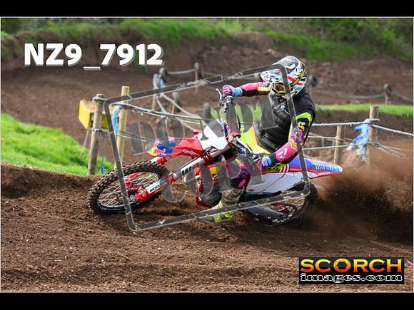 Experts-232