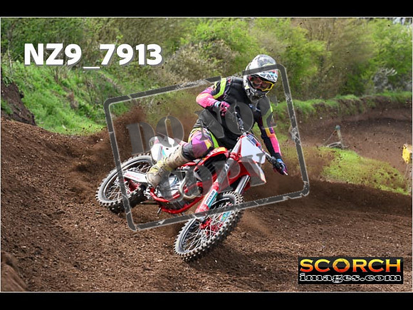 Experts-233