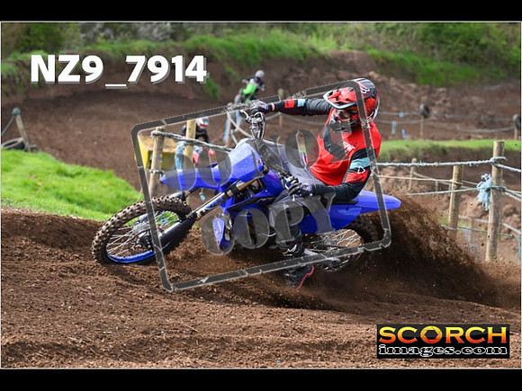 Experts-234