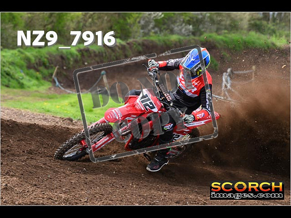 Experts-236