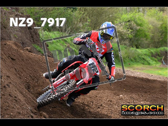 Experts-237