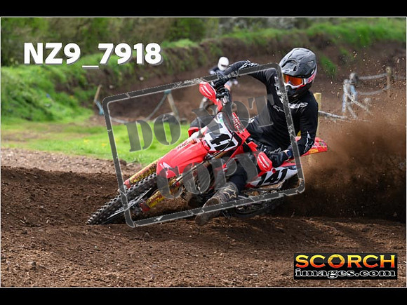 Experts-238