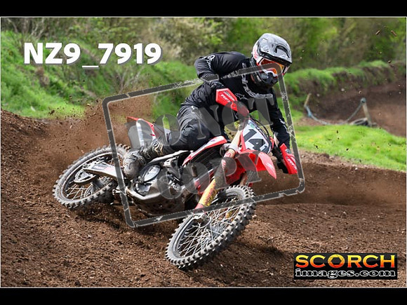 Experts-239