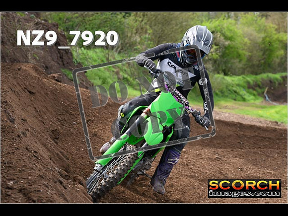 Experts-240