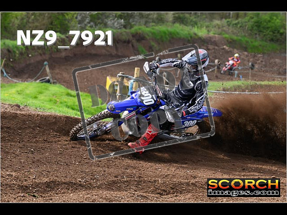 Experts-241